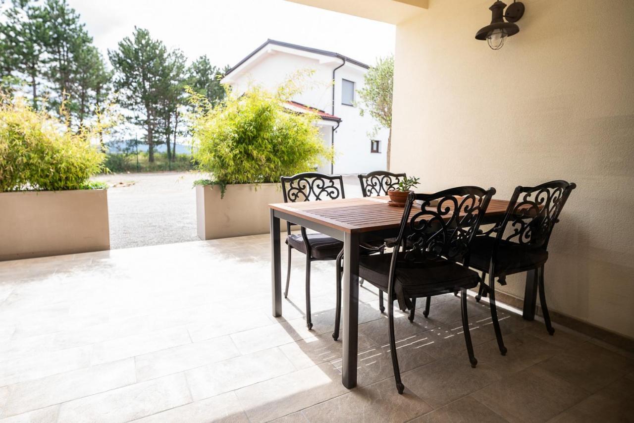 Apartments Kras 24 With Pool Sežana Kültér fotó